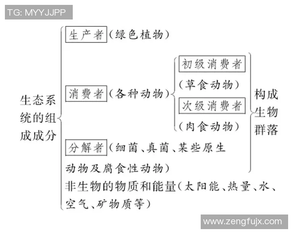 科学排球训练方法与比赛经验的系统性提升探讨